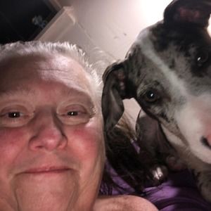 Meet your Posher, Sharon